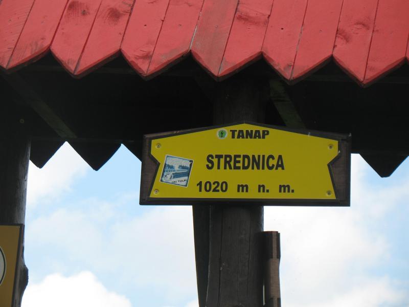 33773.jpg