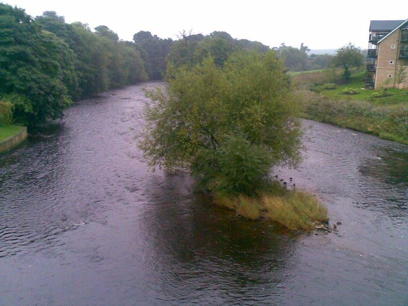 yorkshire, england, wetherby