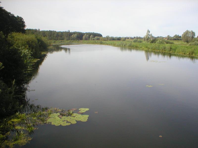 balewka