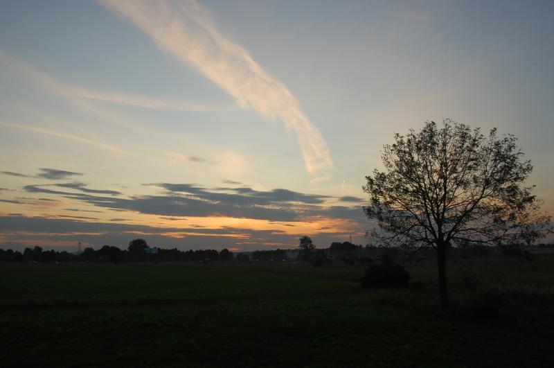 pogoria 4, wojkowice kościelne