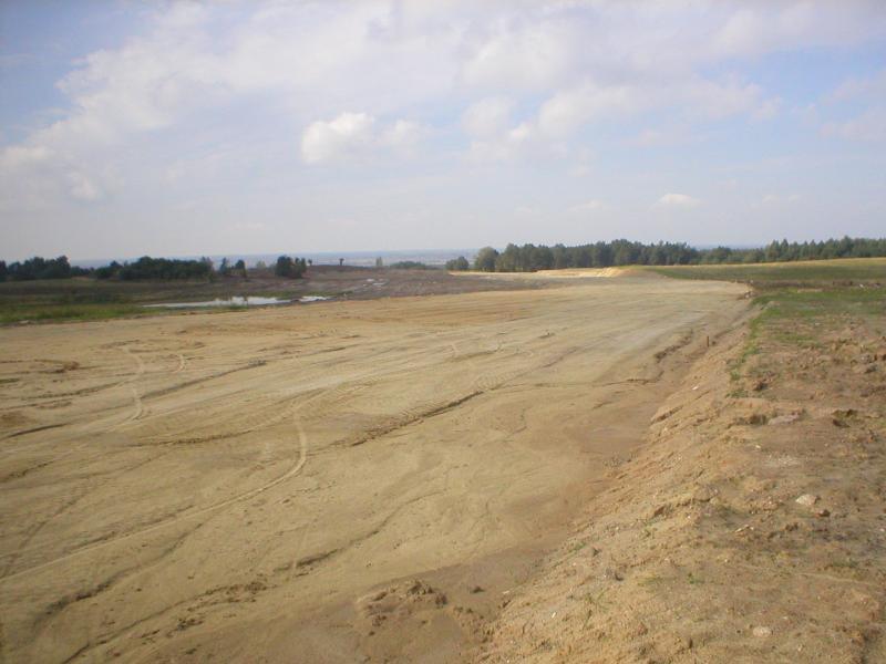 modrzewina
