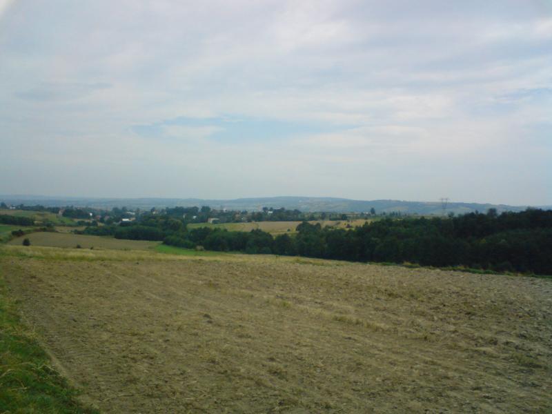 34241.jpg