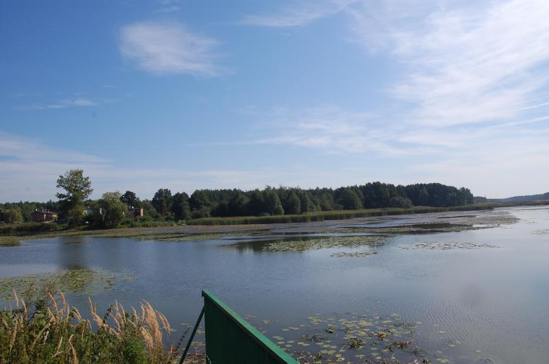 zielona