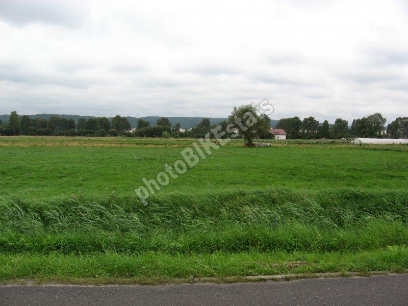 pole, duch, dębogórze