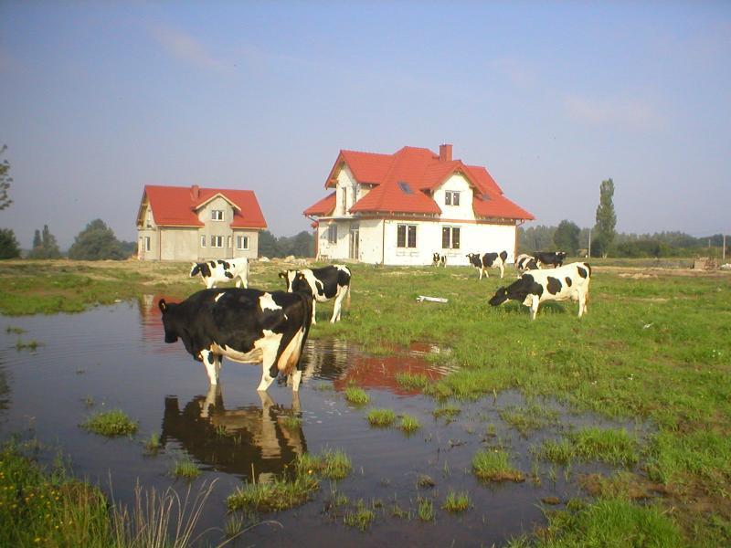 przezmark