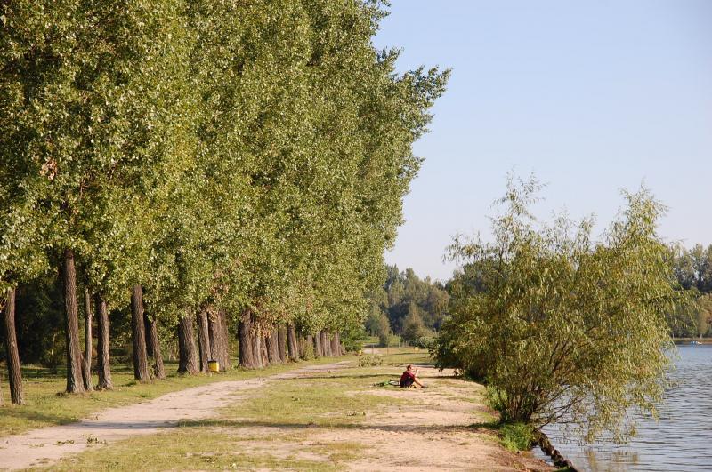 jaworzno, zalew sosina
