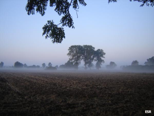 34579.jpg