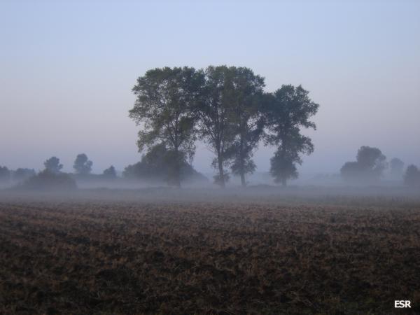 34580.jpg