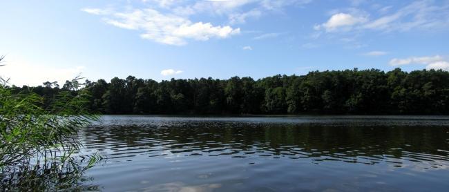 panorama, jezioro, szczecin, głębokie