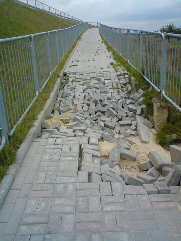 34856.jpg