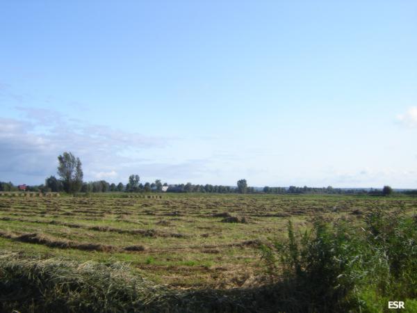 34900.jpg