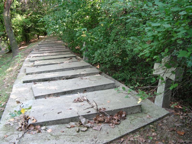 34950.jpg