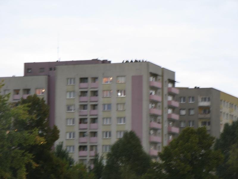 34964.jpg