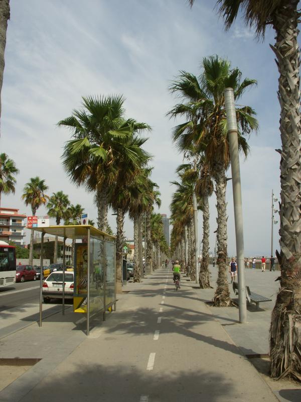 catalunya, barcelona, espana