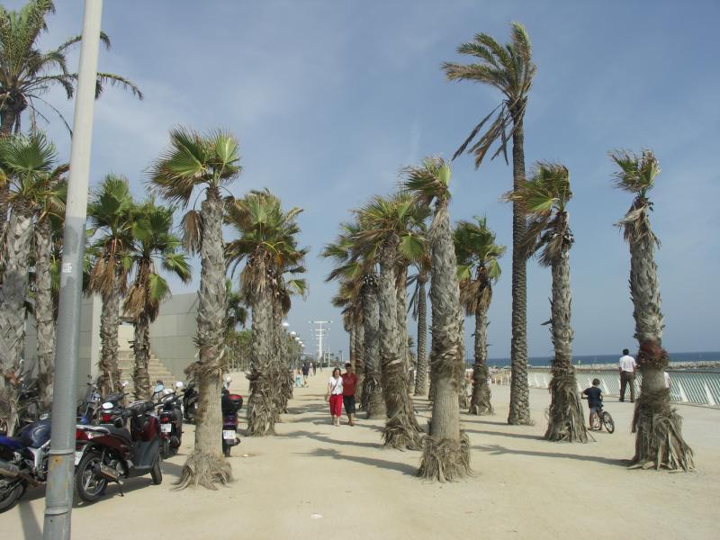 catalunya, barcelona, espana