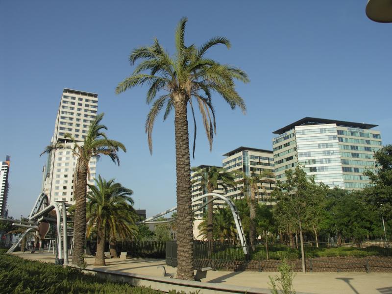 catalunya, barcelona, espana