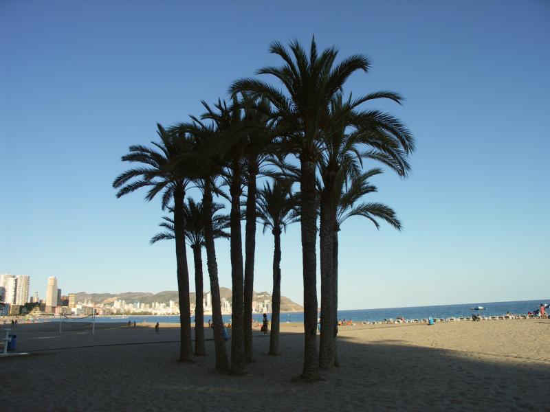 espana, costa blanca, benidorm