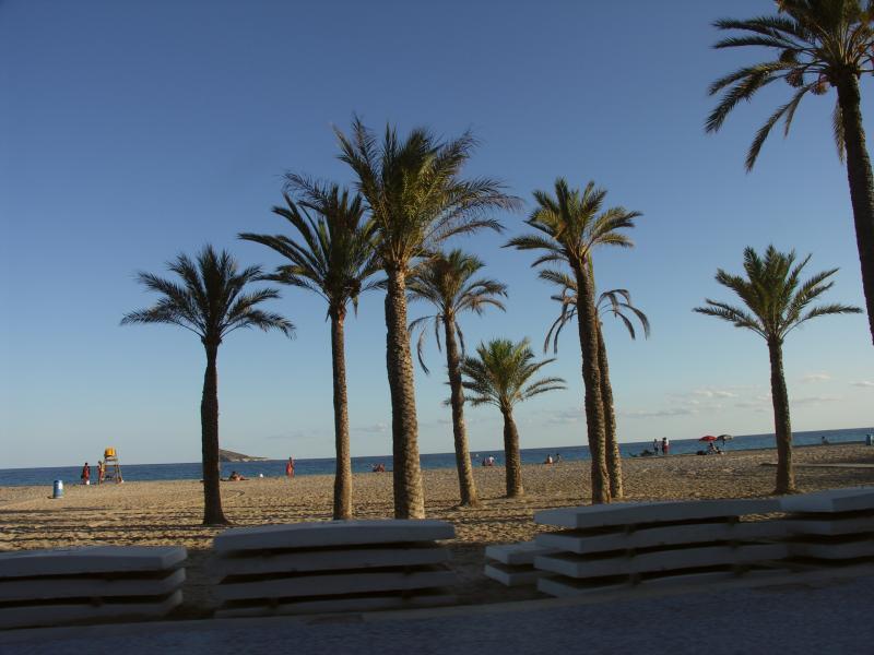 espana, costa blanca, benidorm