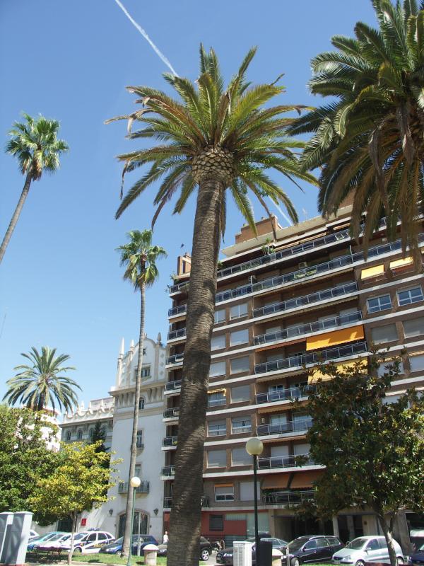 espana, valencia, spain