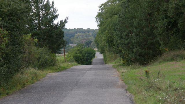 35387.jpg