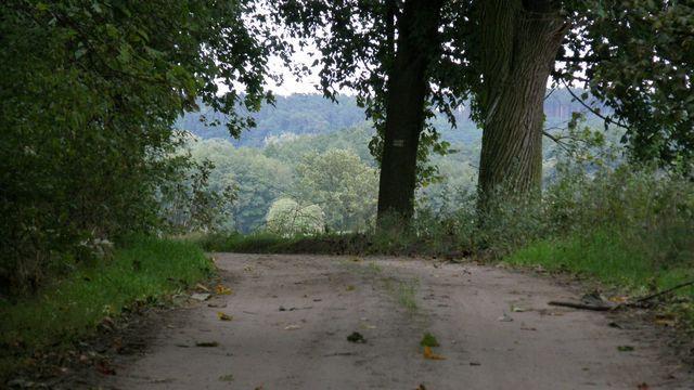 35390.jpg