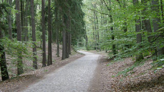 35396.jpg