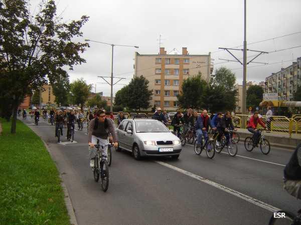 35497.jpg