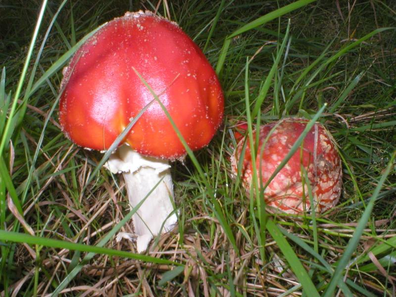 wdzydzki park krajobrazowy