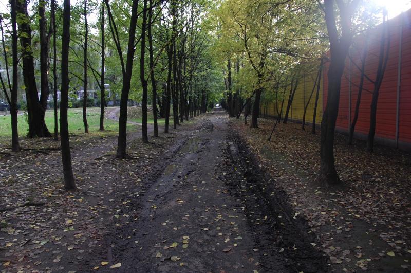 sosnowiec, pogoń