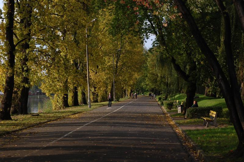 sosnowiec, stawiki