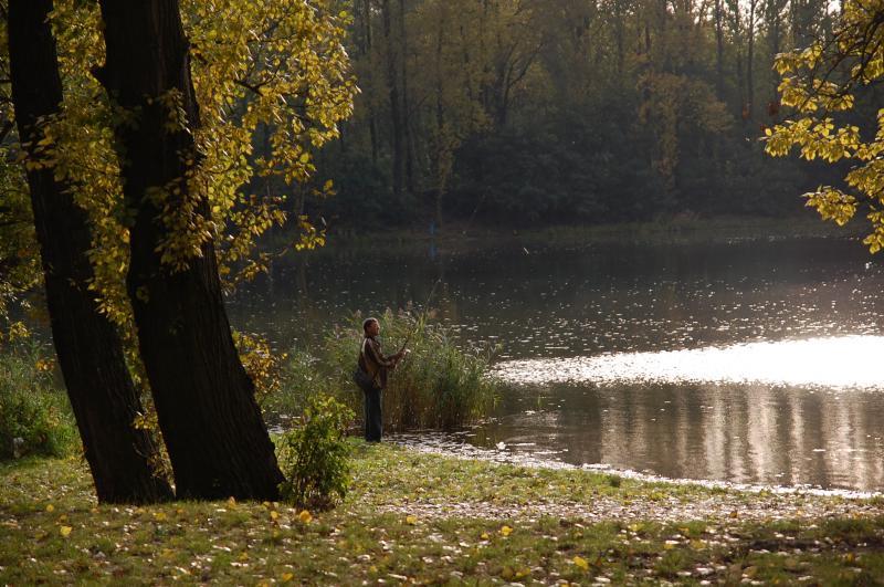 sosnowiec, stawiki