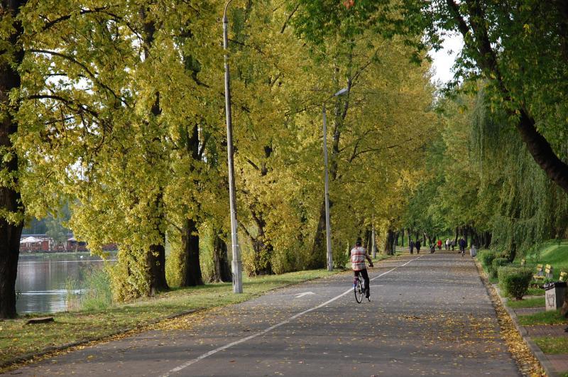 sosnowiec, stawiki