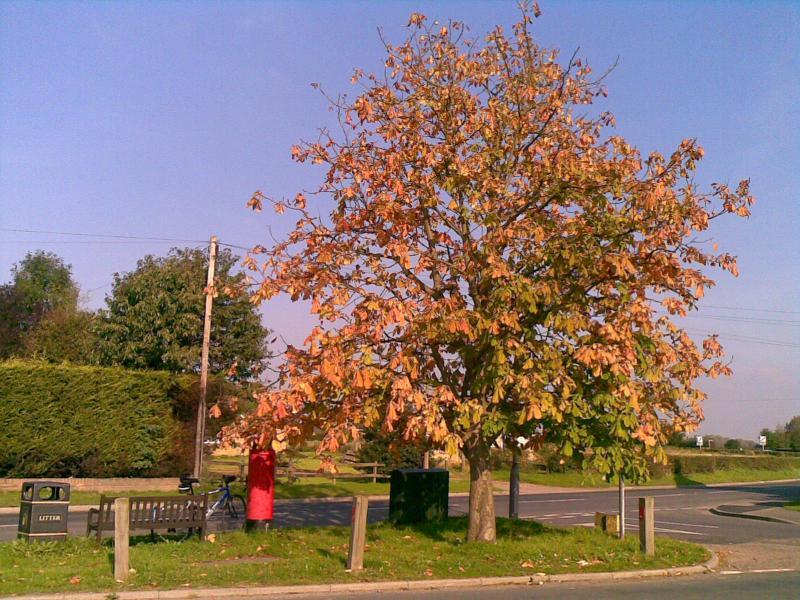 yorkshire, autumn, england