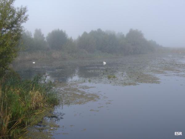 35700.jpg