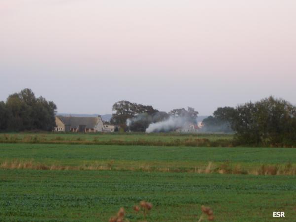 35704.jpg