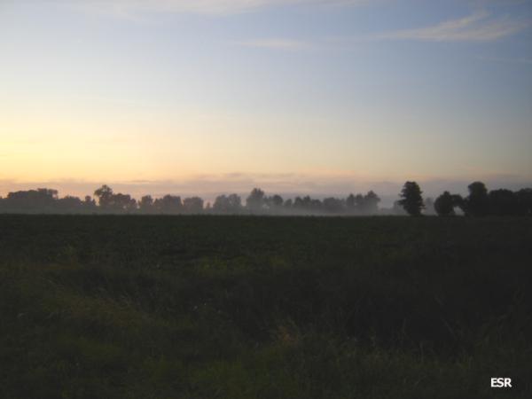 35706.jpg