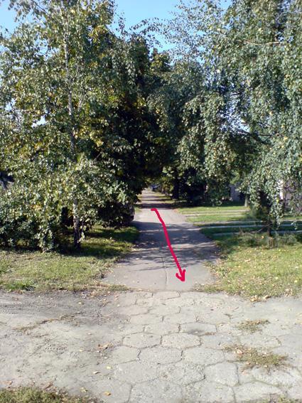 35811.jpg
