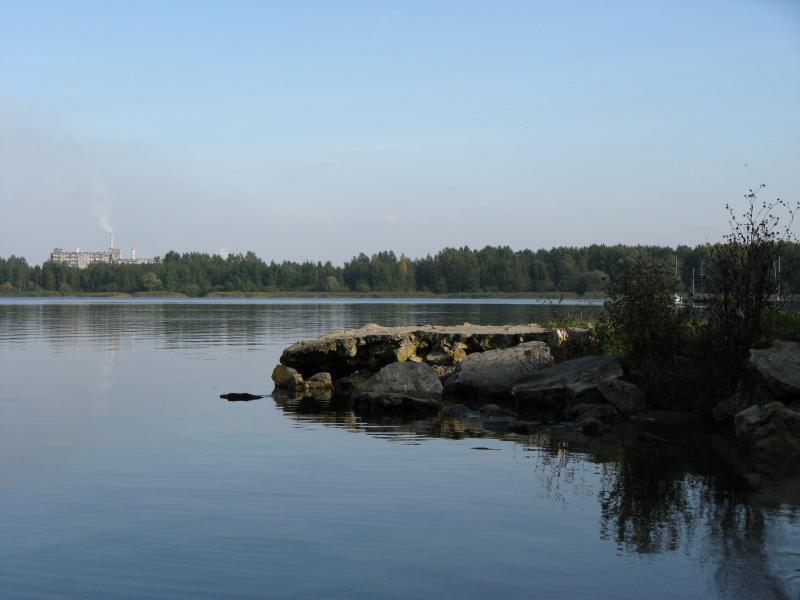 35947.jpg