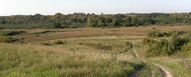 35970.jpg