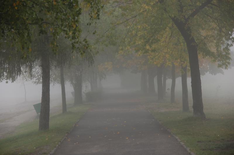 pogoria 3, dabrowa górnicza