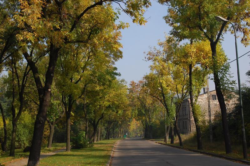 Sosnowiec - Środula ul:Okrzei