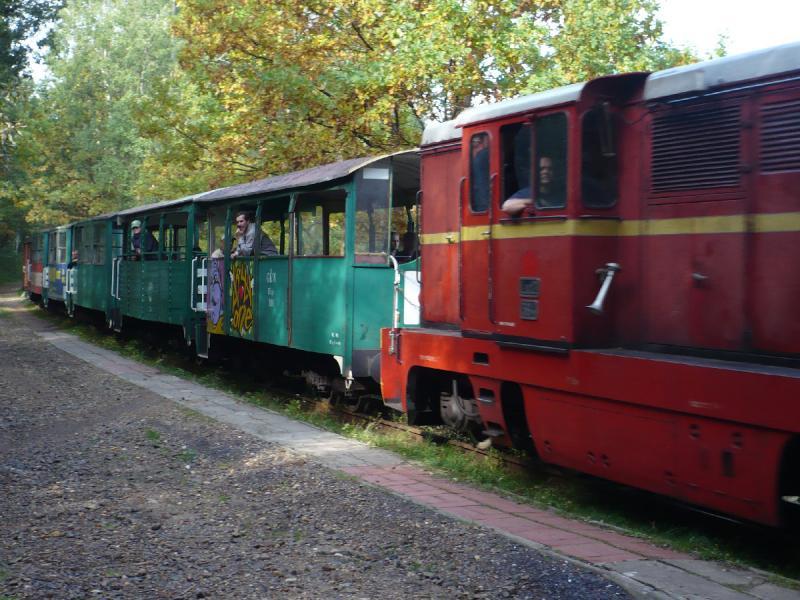 kolejka, dąbrowa, wąskotorówka