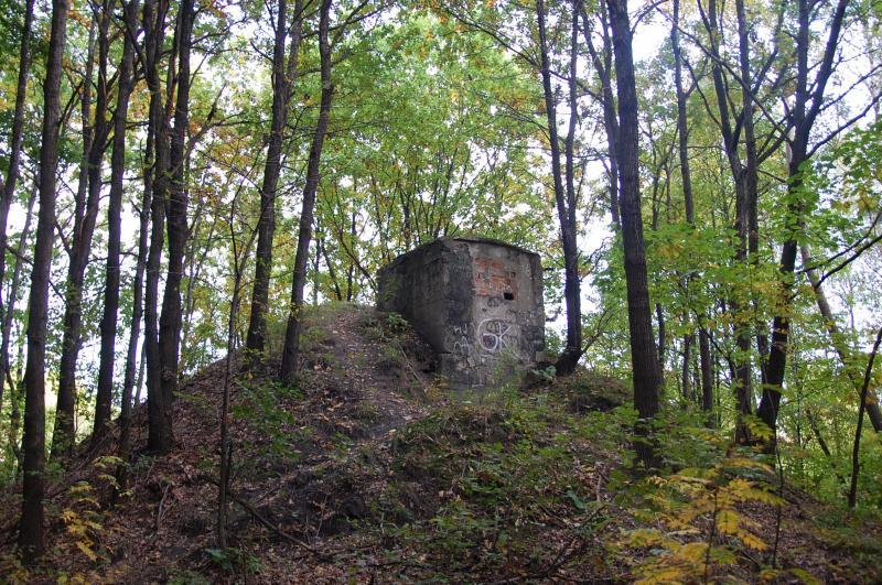 mysłowice, wesoła
