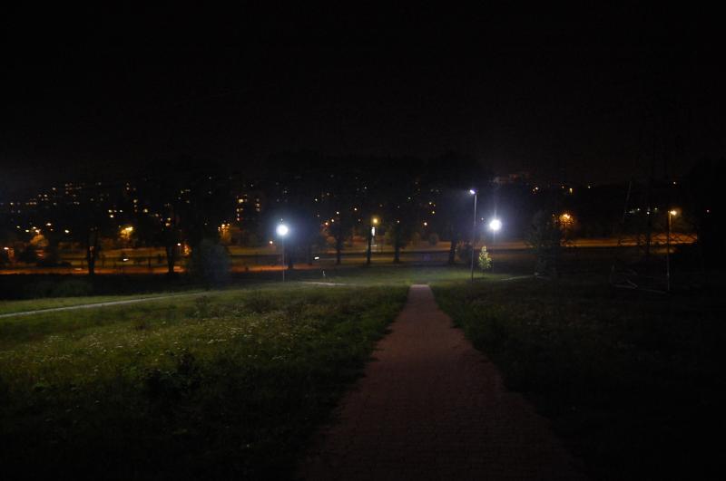 Sosnowiec - Park środula