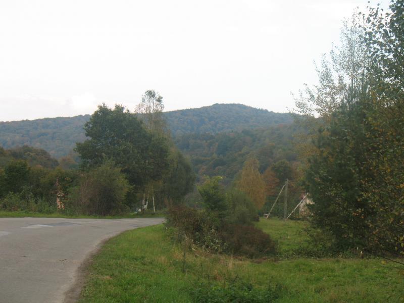 36252.jpg