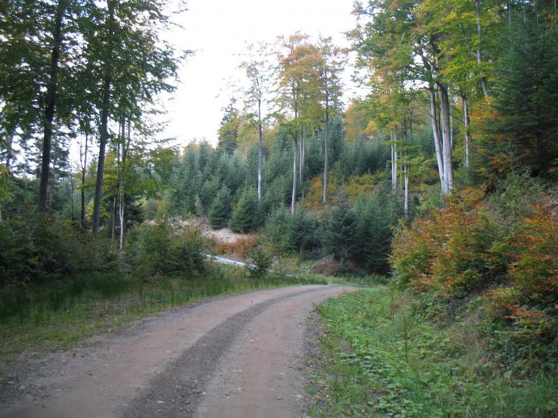 36257.jpg