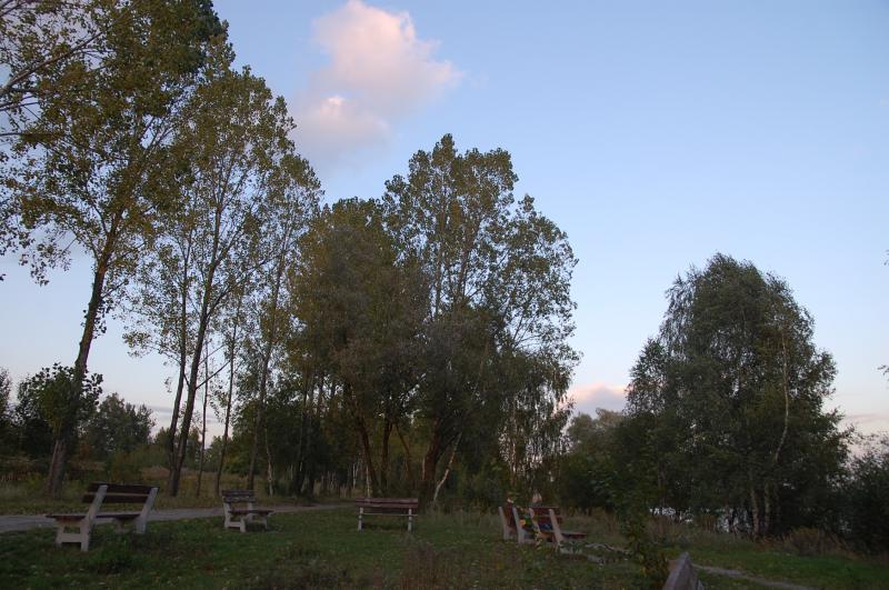 pogoria 3