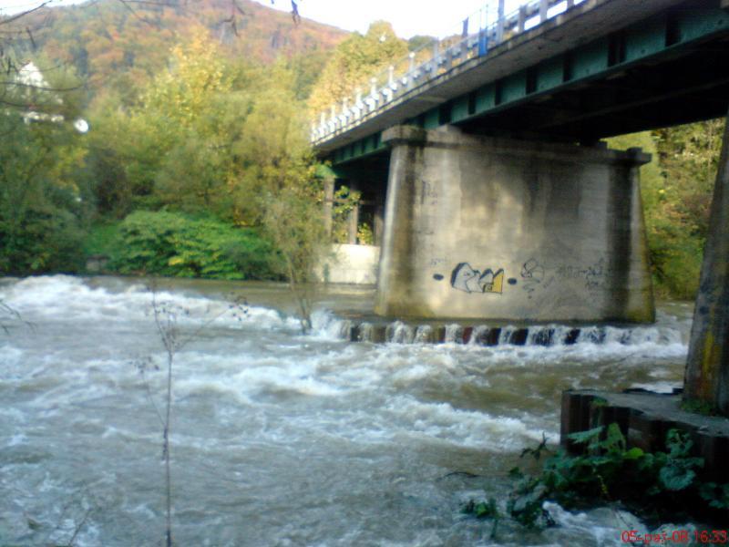 36452.jpg