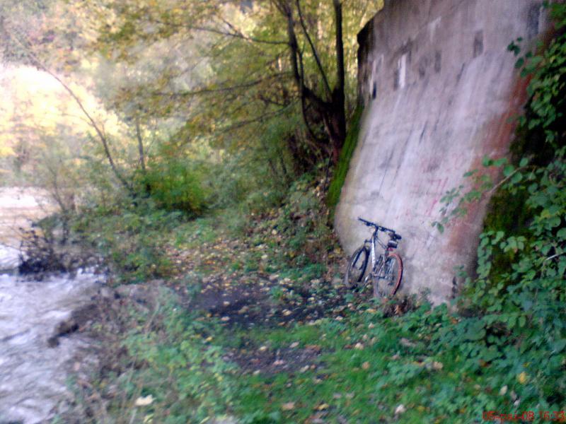 36454.jpg