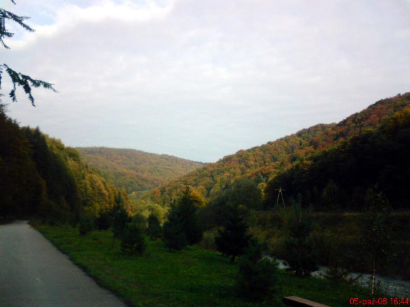 36459.jpg